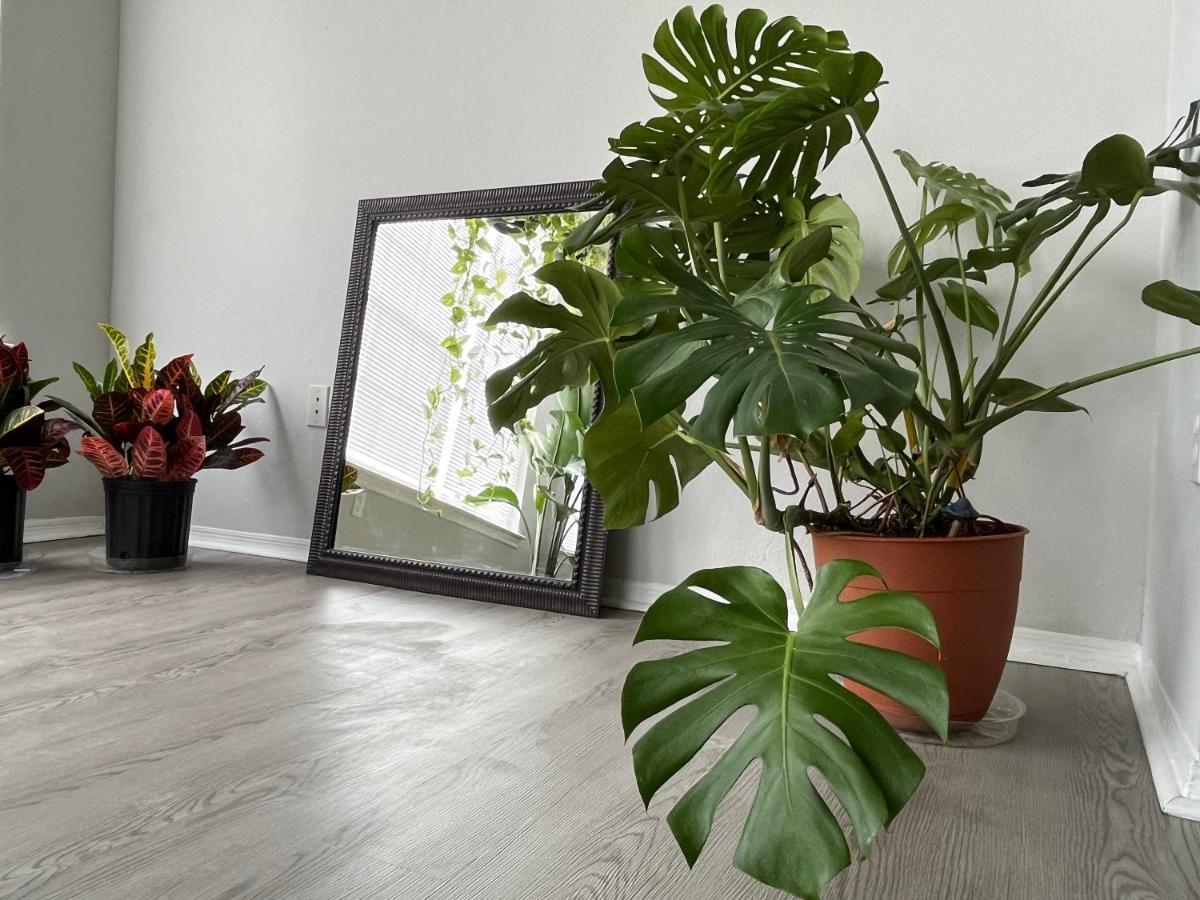 Next To Universal! 2Bedroom-2Bath-Many Indoor Plants Orlando Luaran gambar